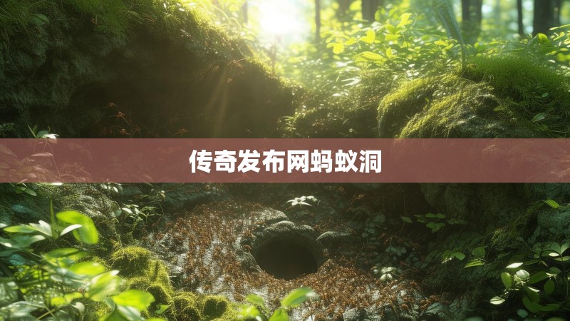 传奇发布网蚂蚁洞