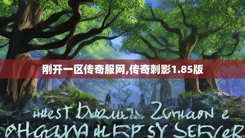 刚开一区传奇服网,传奇刺影1.85版 刚开一区传奇服网,传奇刺影1.85版
