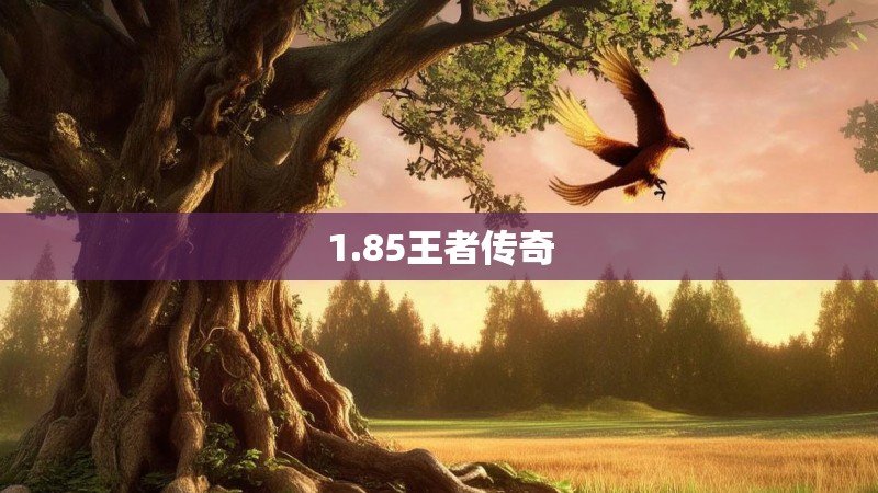 1.85王者传奇 1.85王者传奇