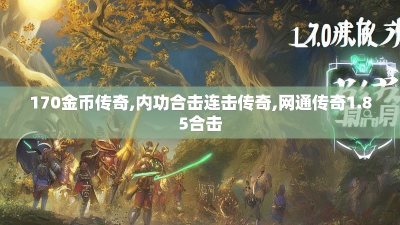 170金币传奇,内功合击连击传奇,网通传奇1.85合击