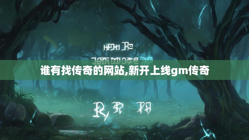 谁有找传奇的网站,新开上线gm传奇