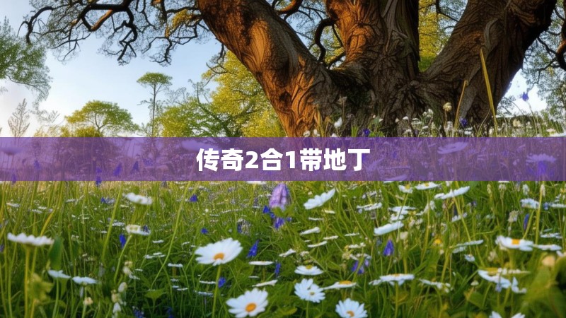 传奇2合1带地丁