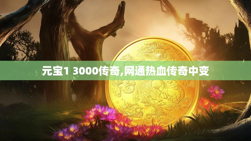 元宝1 3000传奇,网通热血传奇中变
