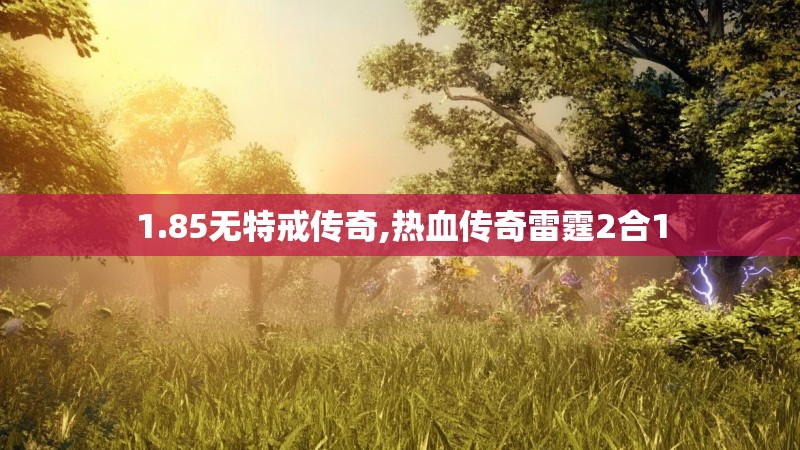 1.85无特戒传奇,热血传奇雷霆2合1 1.85无特戒传奇,热血传奇雷霆2合1