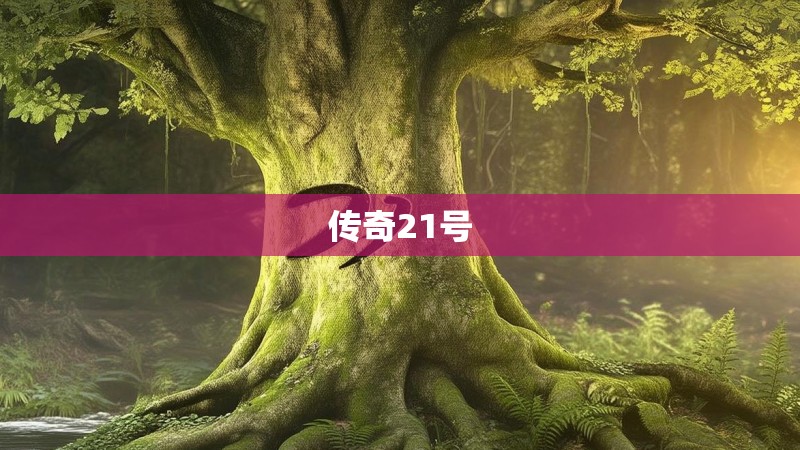 传奇21号 传奇21号