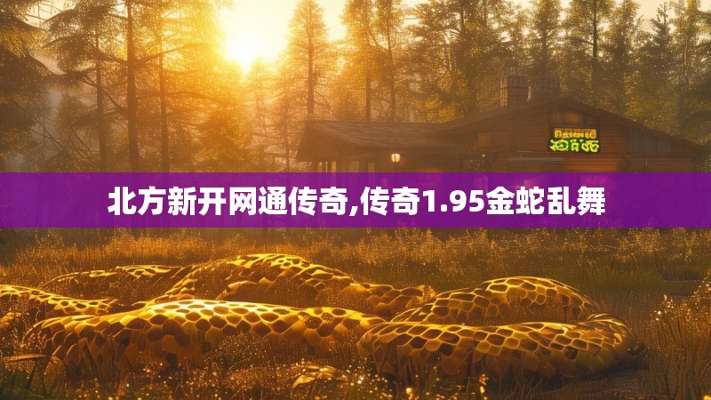 北方新开网通传奇,传奇1.95金蛇乱舞