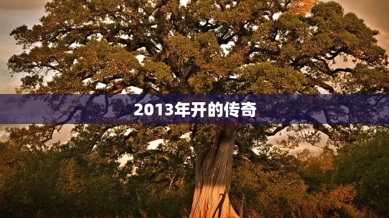 2013年开的传奇
