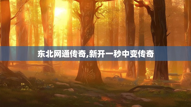 东北网通传奇,新开一秒中变传奇