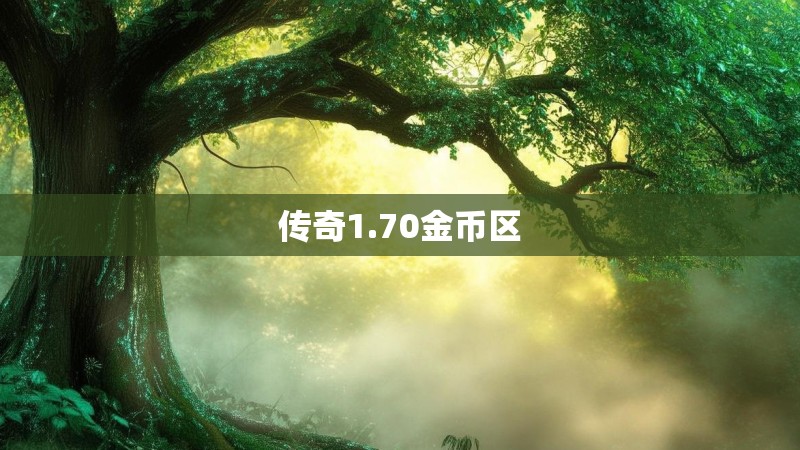 传奇1.70金币区