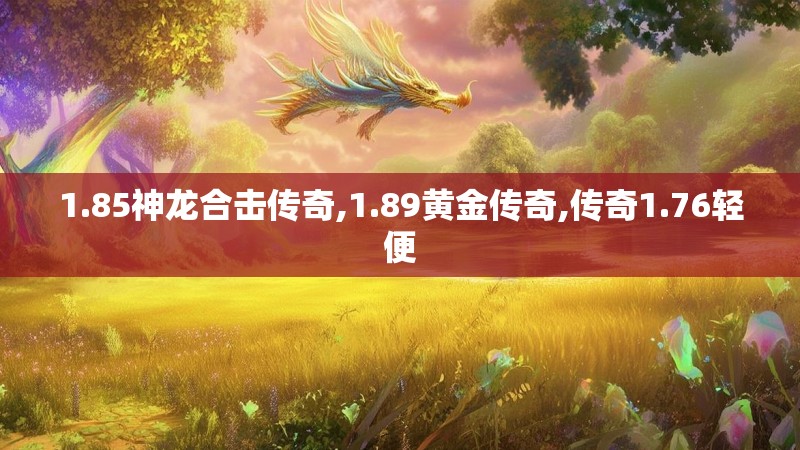 1.85神龙合击传奇,1.89黄金传奇,传奇1.76轻便