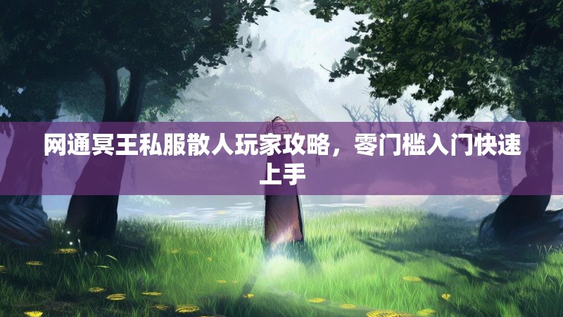 网通冥王私服散人玩家攻略，零门槛入门快速上手