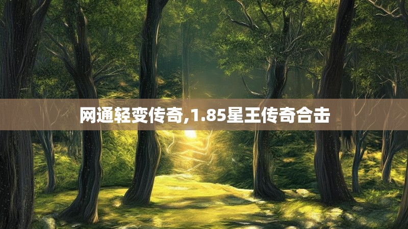 网通轻变传奇,1.85星王传奇合击