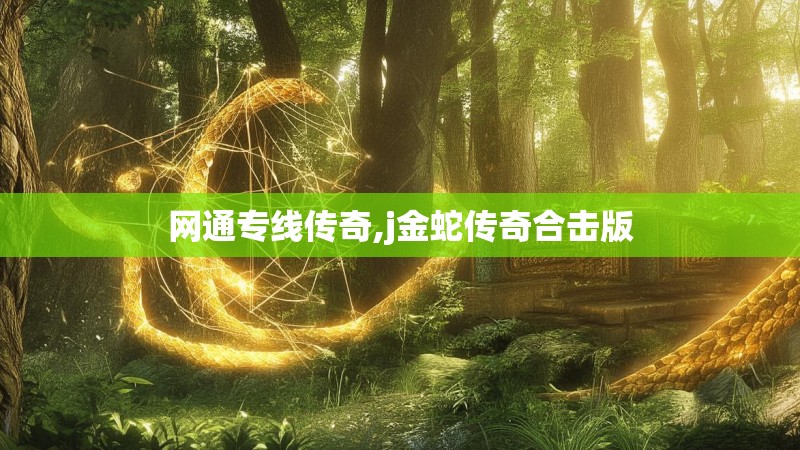 网通专线传奇,j金蛇传奇合击版