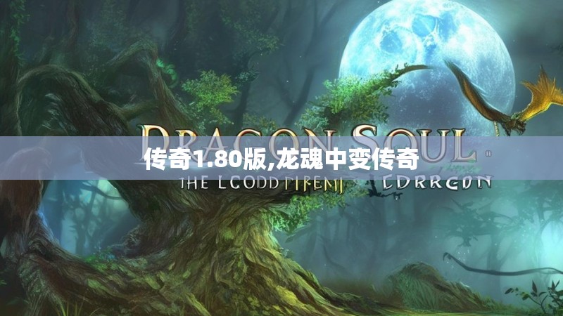 传奇1.80版,龙魂中变传奇
