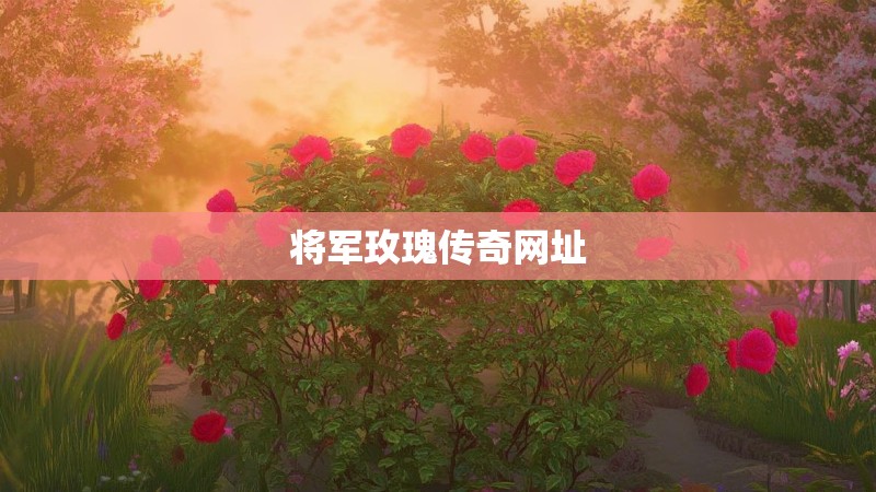 将军玫瑰传奇网址