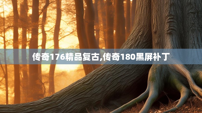 传奇176精品复古,传奇180黑屏补丁