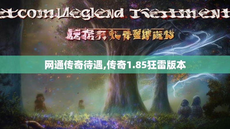 网通传奇待遇,传奇1.85狂雷版本