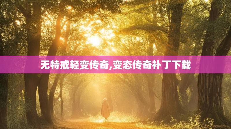 无特戒轻变传奇,变态传奇补丁下载