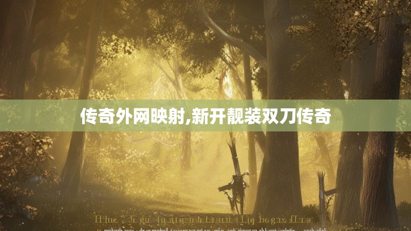传奇外网映射,新开靓装双刀传奇