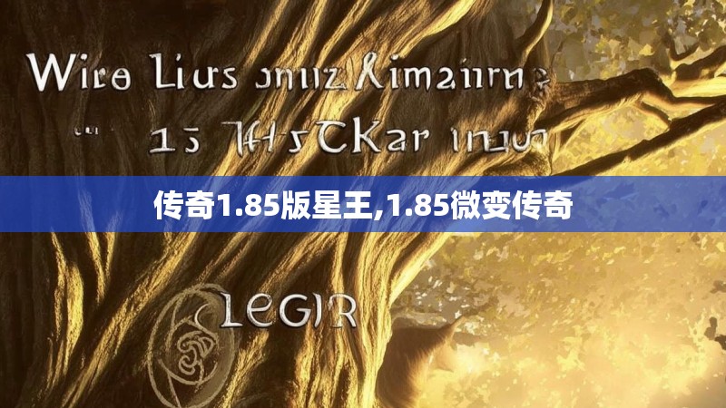 传奇1.85版星王,1.85微变传奇