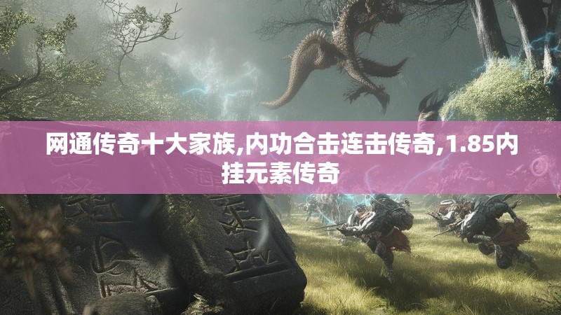 网通传奇十大家族,内功合击连击传奇,1.85内挂元素传奇