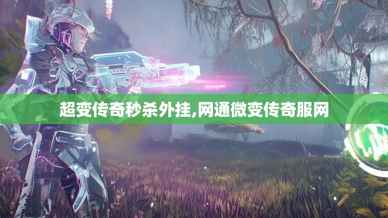 超变传奇秒杀外挂,网通微变传奇服网