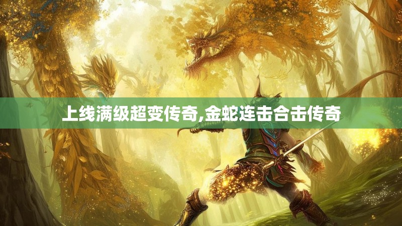 上线满级超变传奇,金蛇连击合击传奇