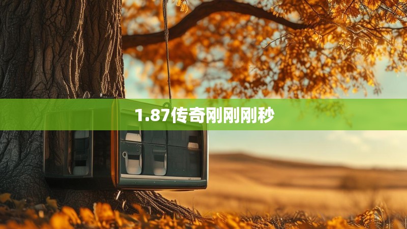1.87传奇刚刚刚秒