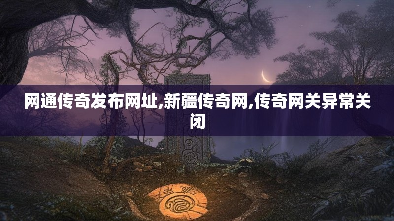 网通传奇发布网址,新疆传奇网,传奇网关异常关闭