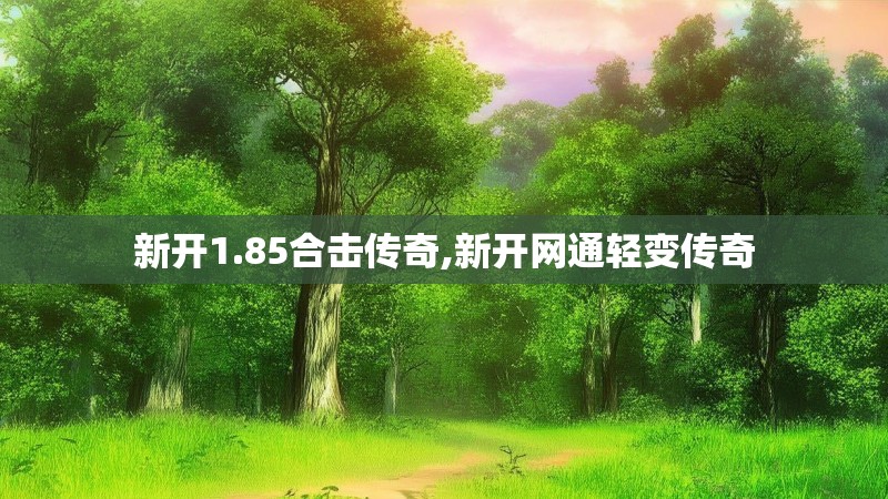 新开1.85合击传奇,新开网通轻变传奇
