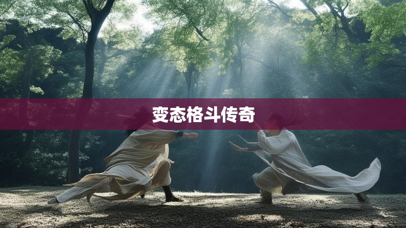 变态格斗传奇 变态格斗传奇