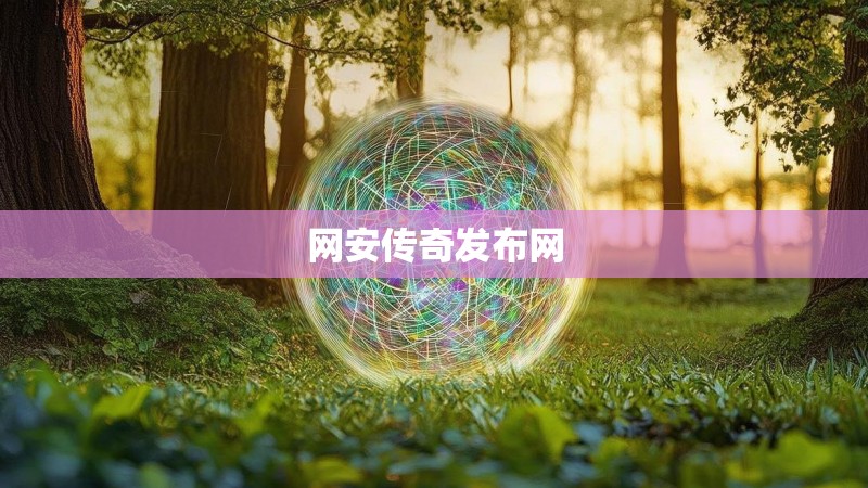 网安传奇发布网