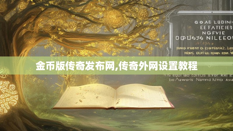 金币版传奇发布网,传奇外网设置教程