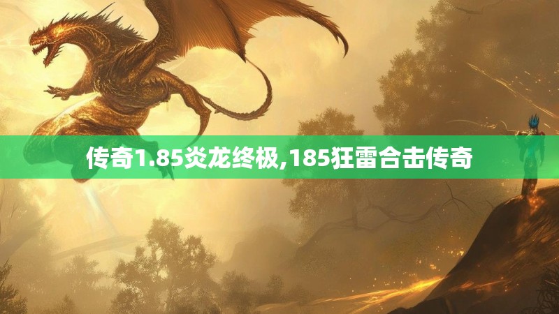 传奇1.85炎龙终极,185狂雷合击传奇
