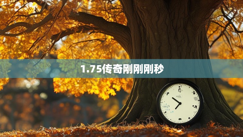 1.75传奇刚刚刚秒