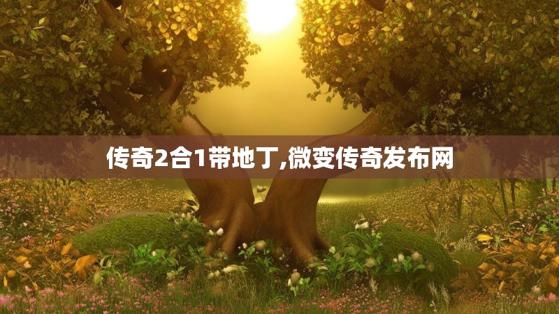 传奇2合1带地丁,微变传奇发布网