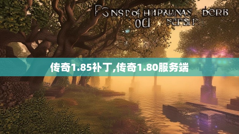 传奇1.85补丁,传奇1.80服务端