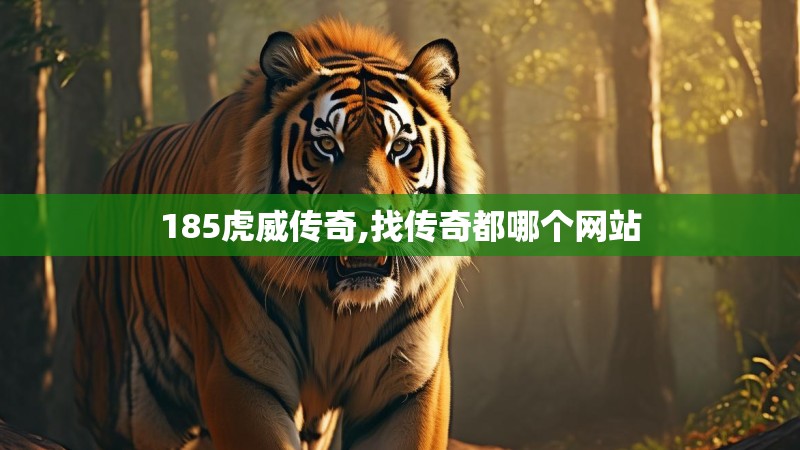 185虎威传奇,找传奇都哪个网站