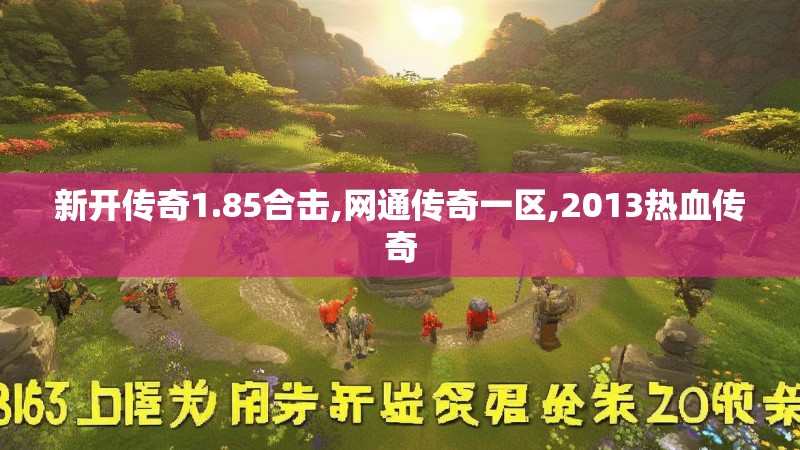 新开传奇1.85合击,网通传奇一区,2013热血传奇