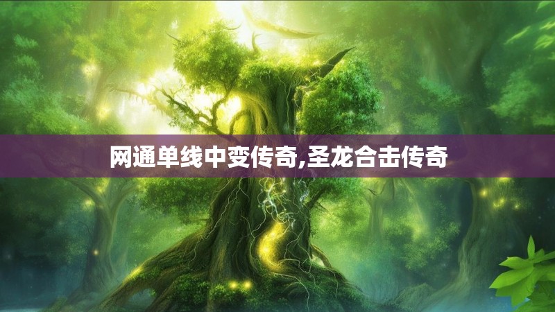 网通单线中变传奇,圣龙合击传奇