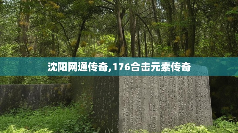 沈阳网通传奇,176合击元素传奇 沈阳网通传奇,176合击元素传奇