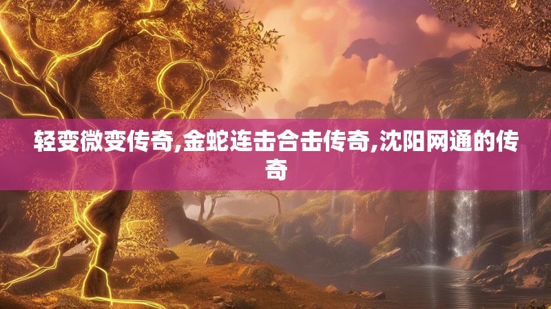 轻变微变传奇,金蛇连击合击传奇,沈阳网通的传奇