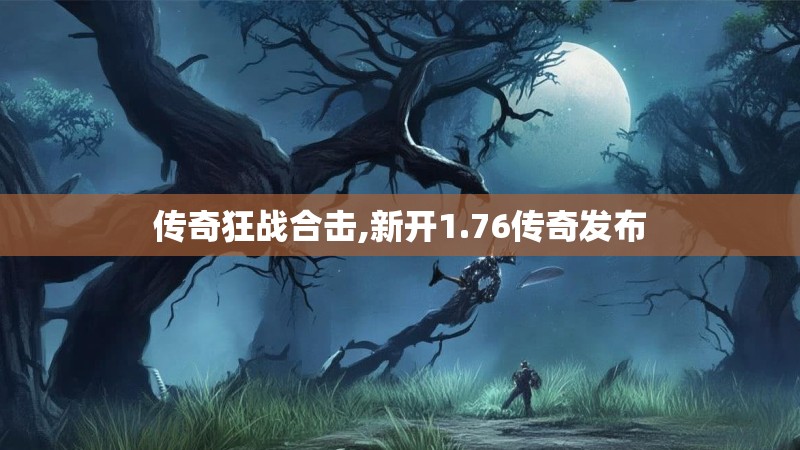 传奇狂战合击,新开1.76传奇发布