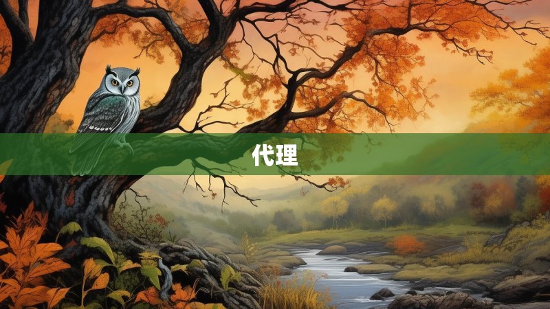 代理 代理