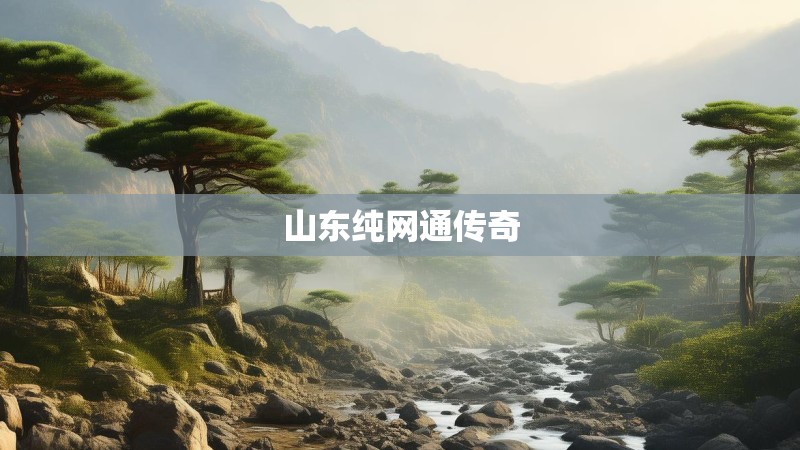 山东纯网通传奇 山东纯网通传奇