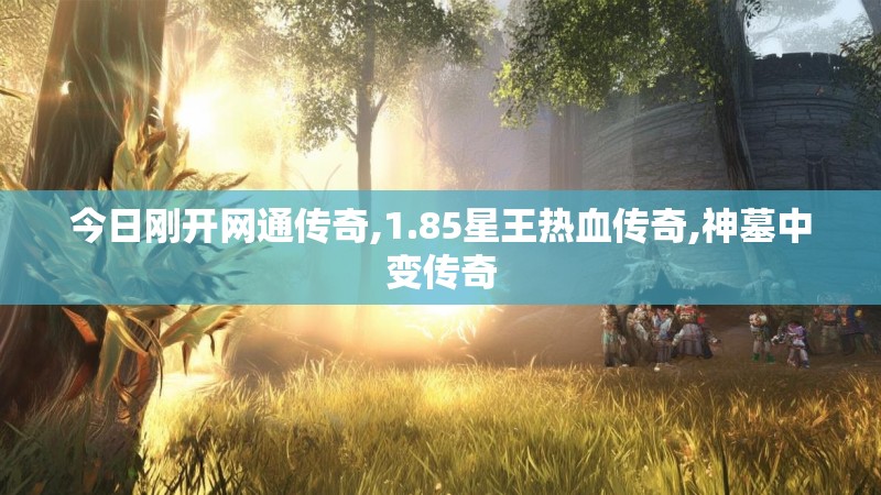 今日刚开网通传奇,1.85星王热血传奇,神墓中变传奇 今日刚开网通传奇,1.85星王热血传奇,神墓中变传奇