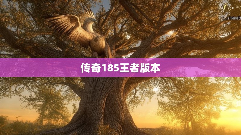 传奇185王者版本