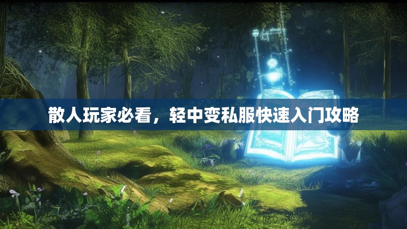 散人玩家必看，轻中变私服快速入门攻略