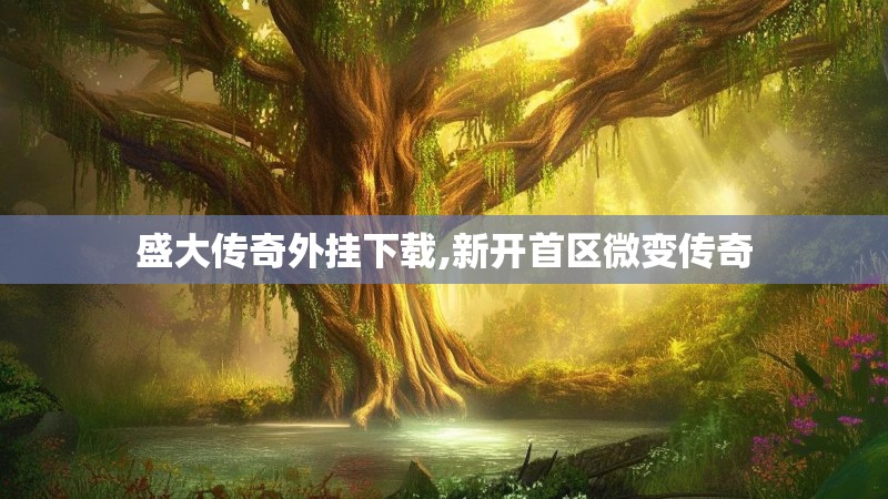 盛大传奇外挂下载,新开首区微变传奇