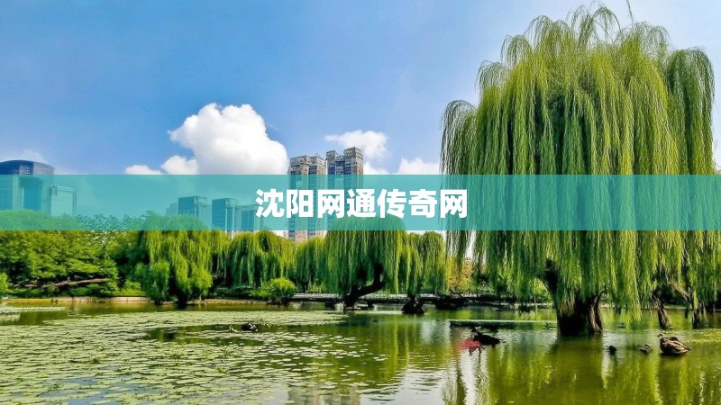 沈阳网通传奇网 沈阳网通传奇网